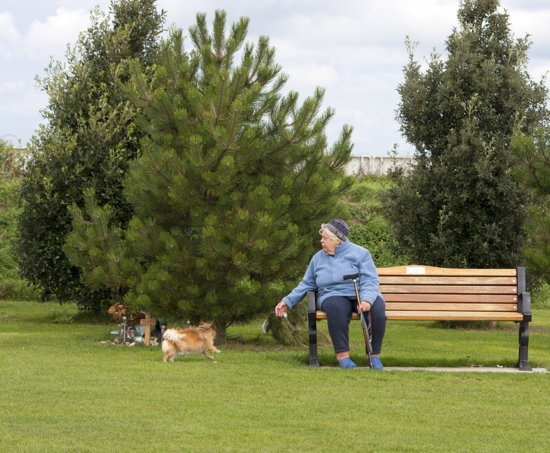 woman lady senior free photo