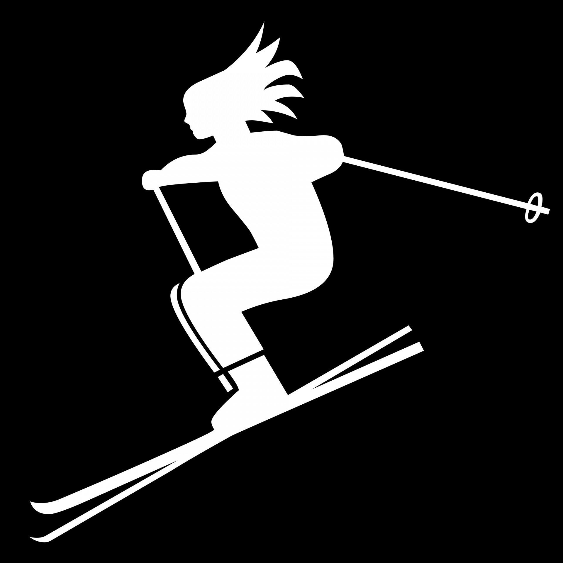skier stick leisure free photo