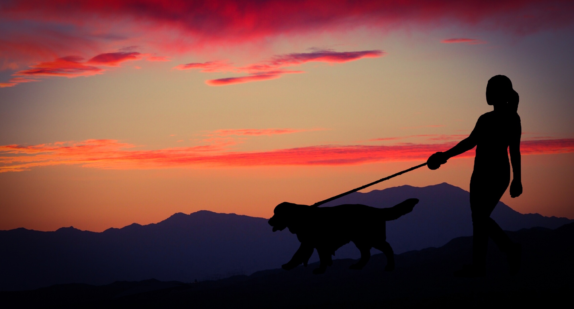 woman dog sunset free photo