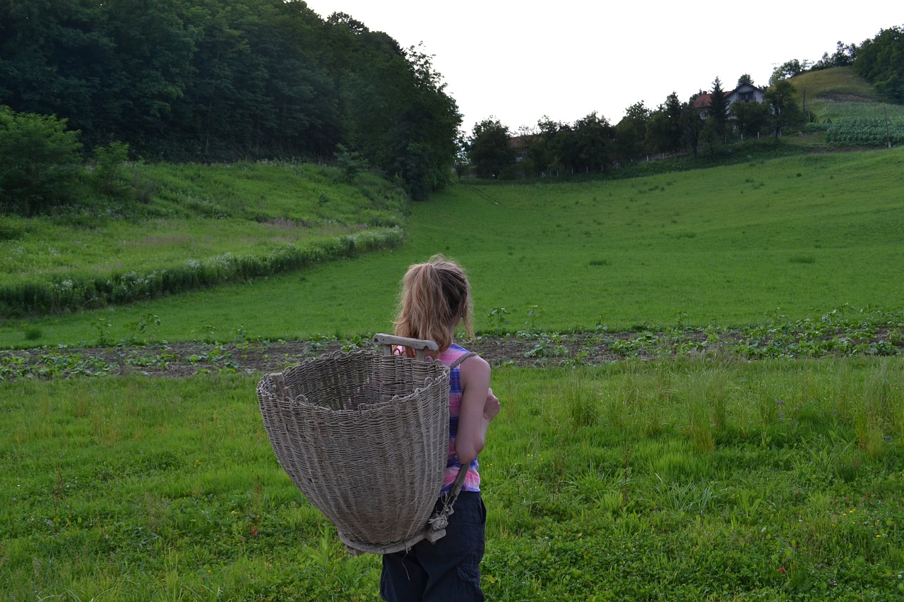 woman with basket woman thinking basket free photo