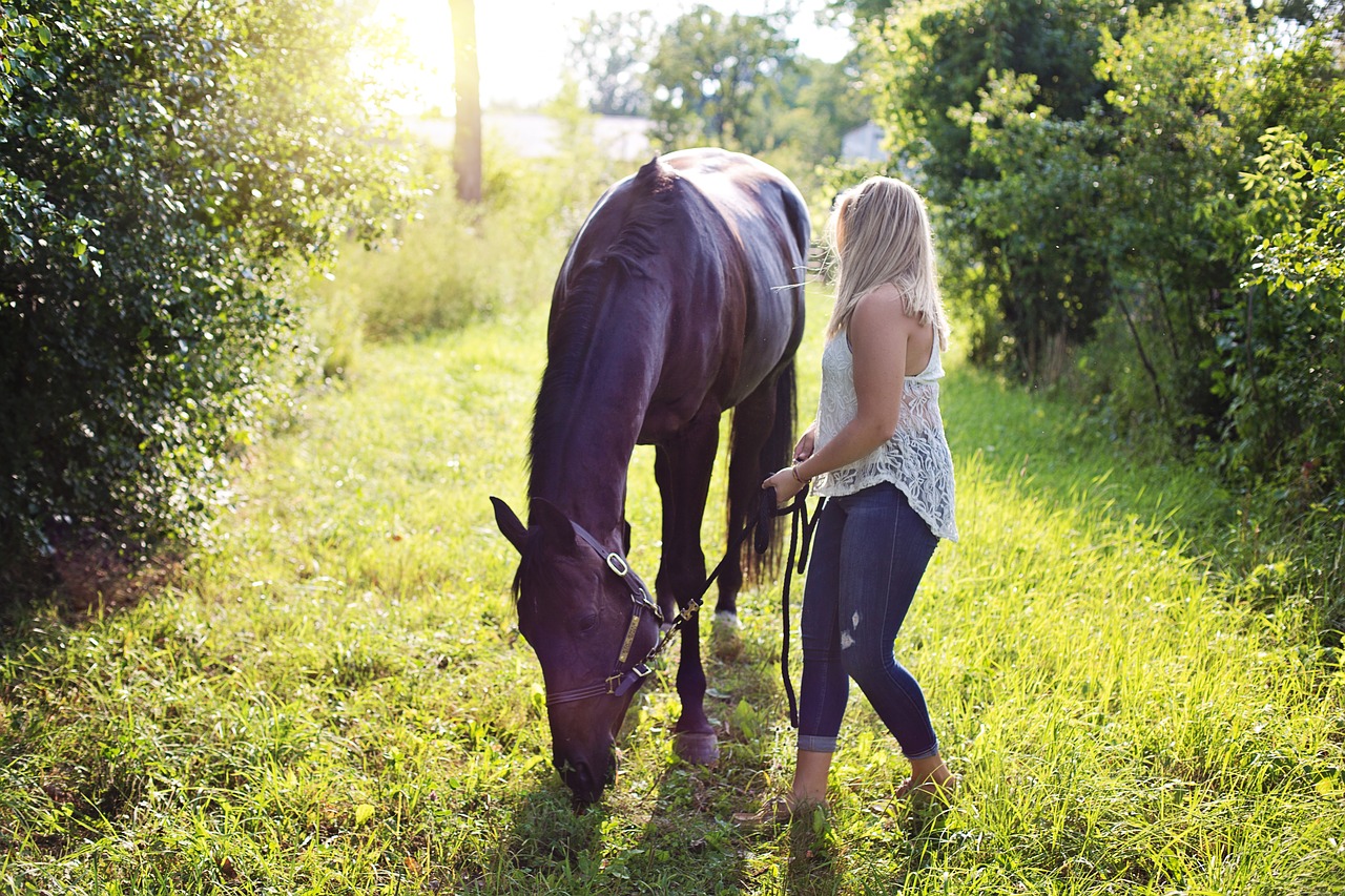 woman with horse horse woman free photo