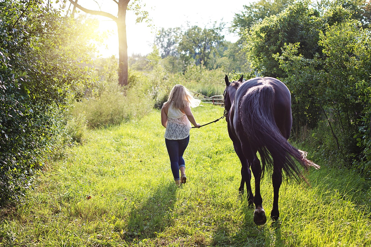 woman with horse horse woman free photo