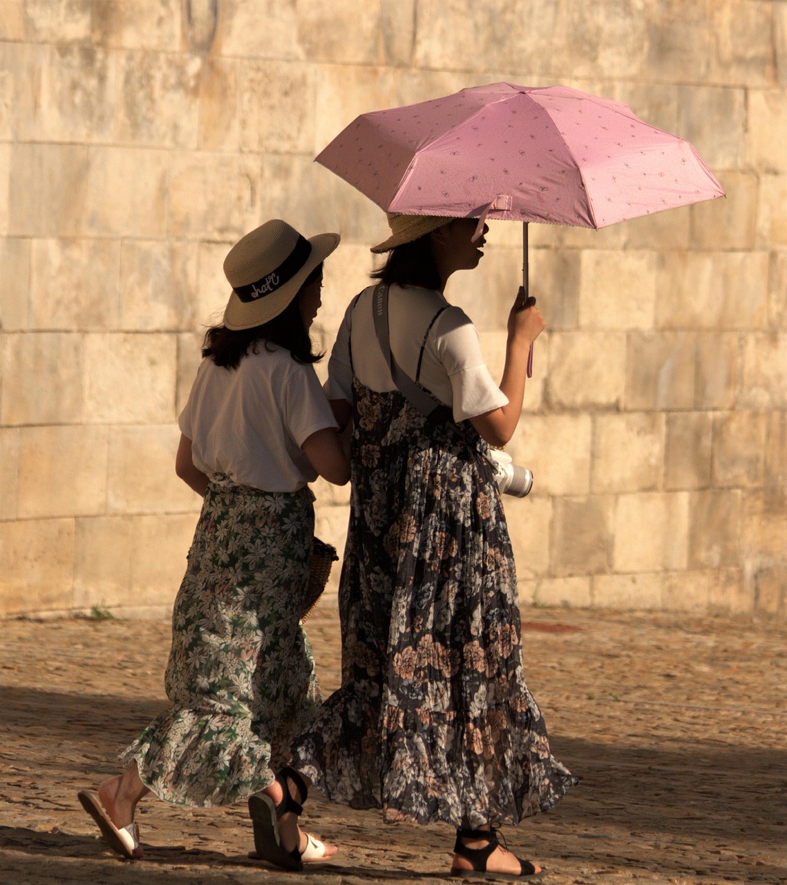 women  females  two free photo