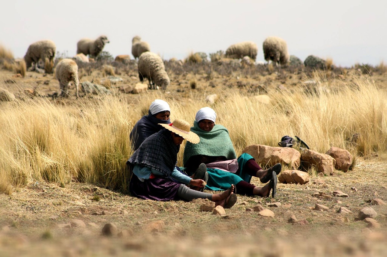 women resting tiraque free photo