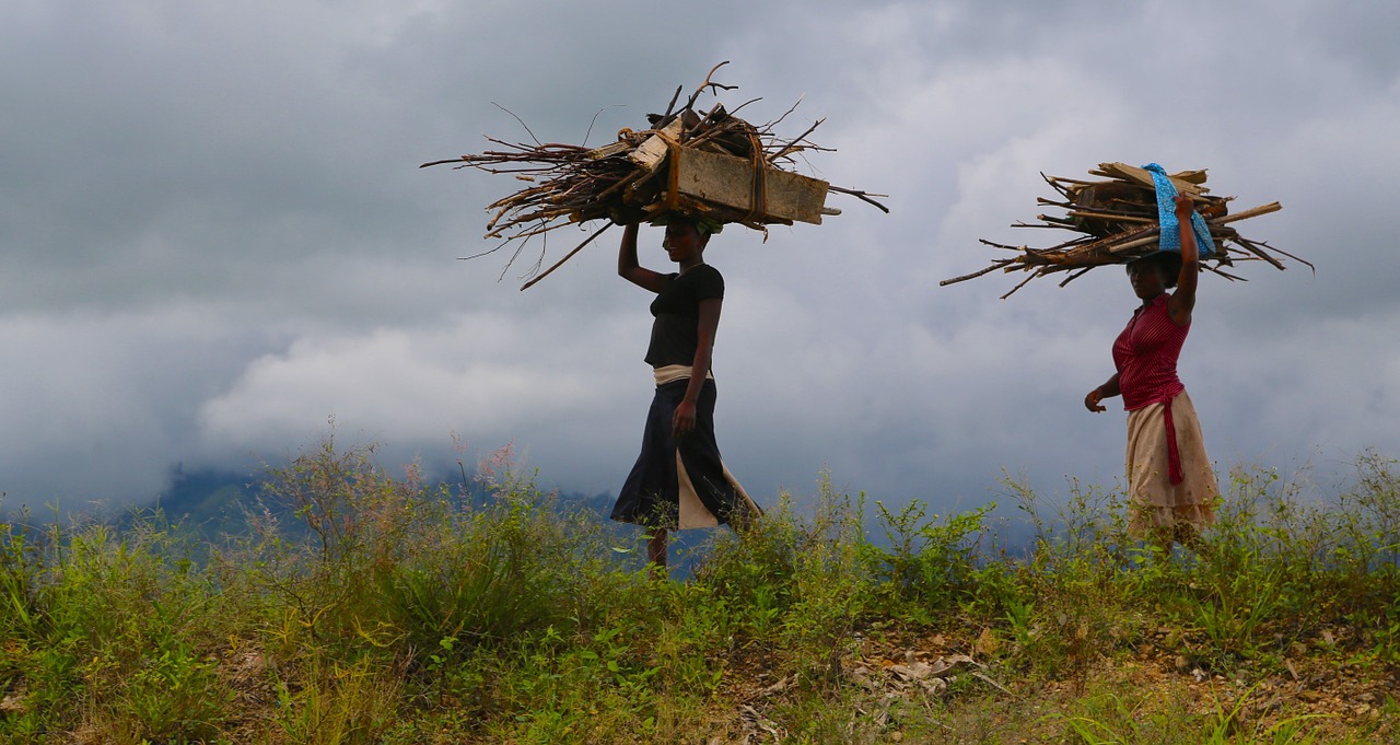 women wood woman free photo