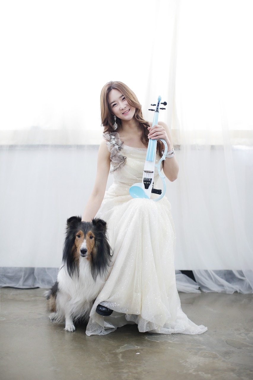 women's violin dog free photo