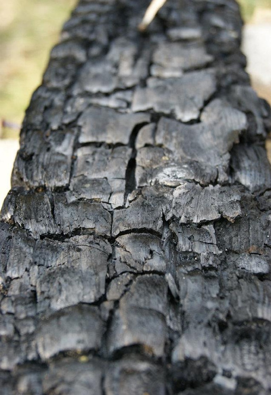 wood coal macro free photo