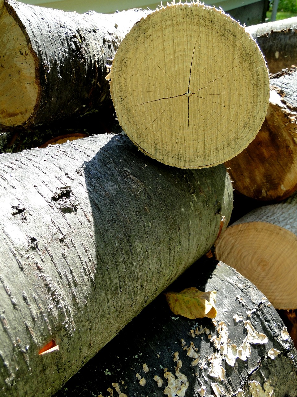 wood logs firewood free photo