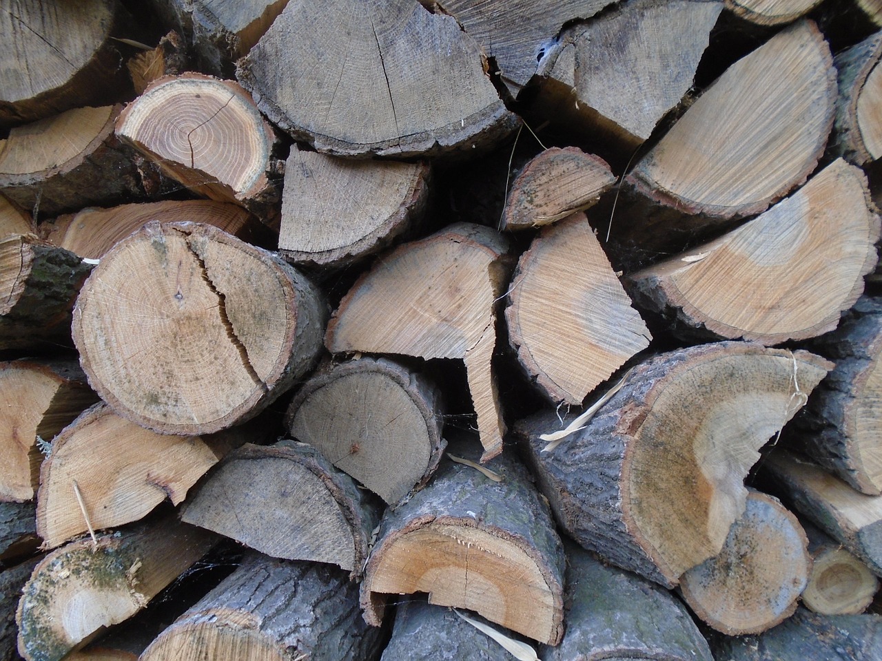 wood woodpile fuel free photo