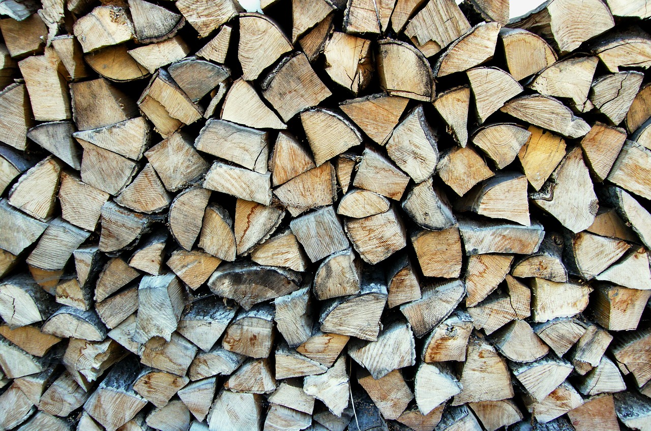 wood winter storage free photo