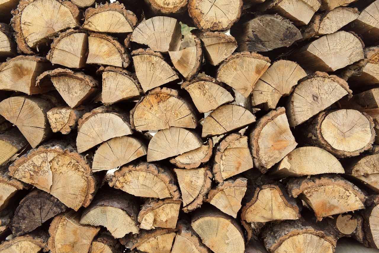 wood log firewood free photo