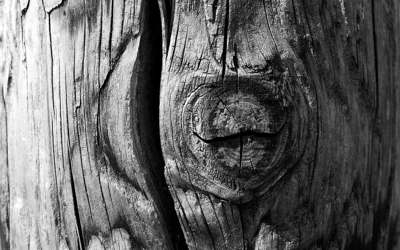 wood black old wood free photo