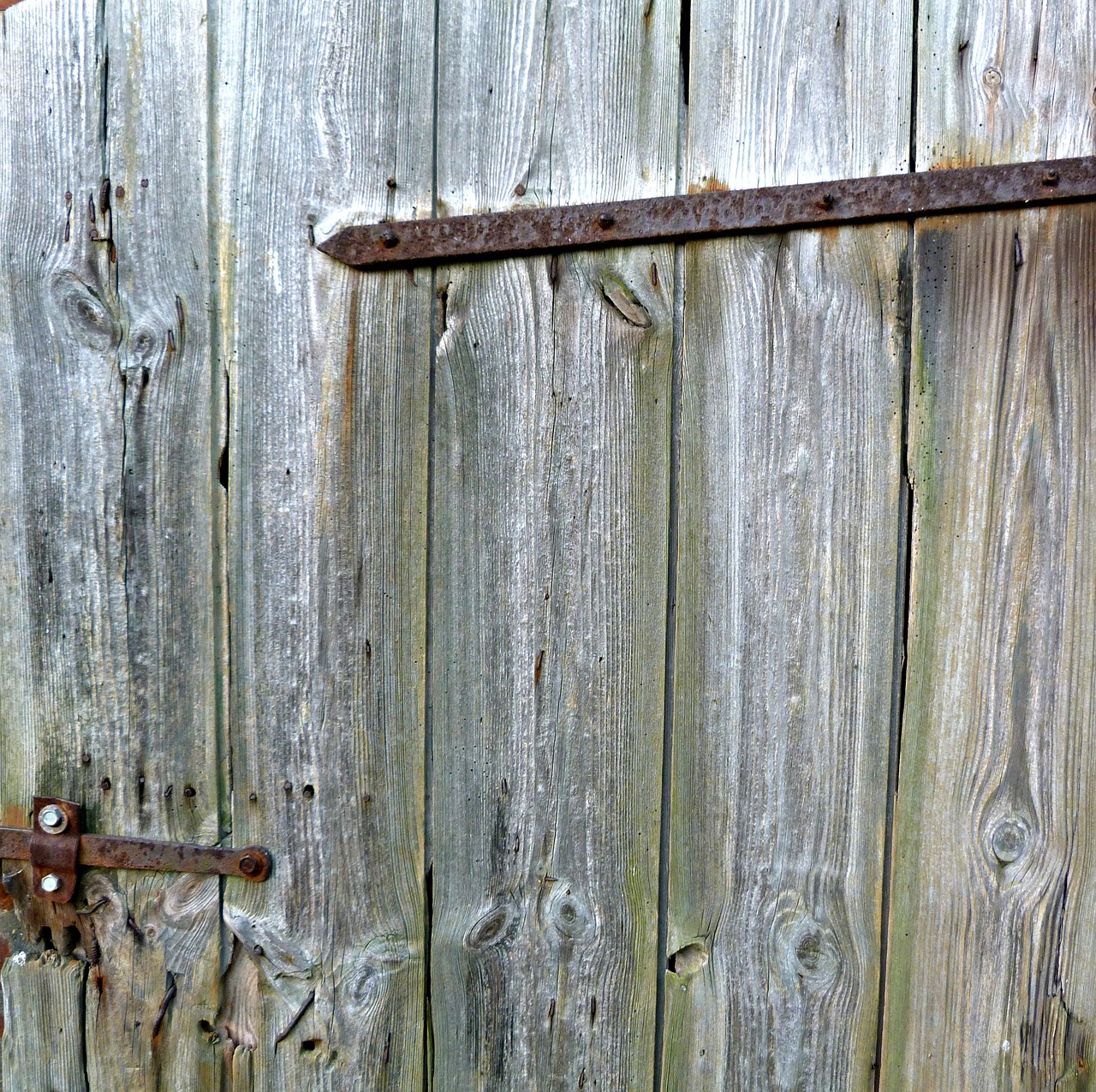 wood door wooden door free photo