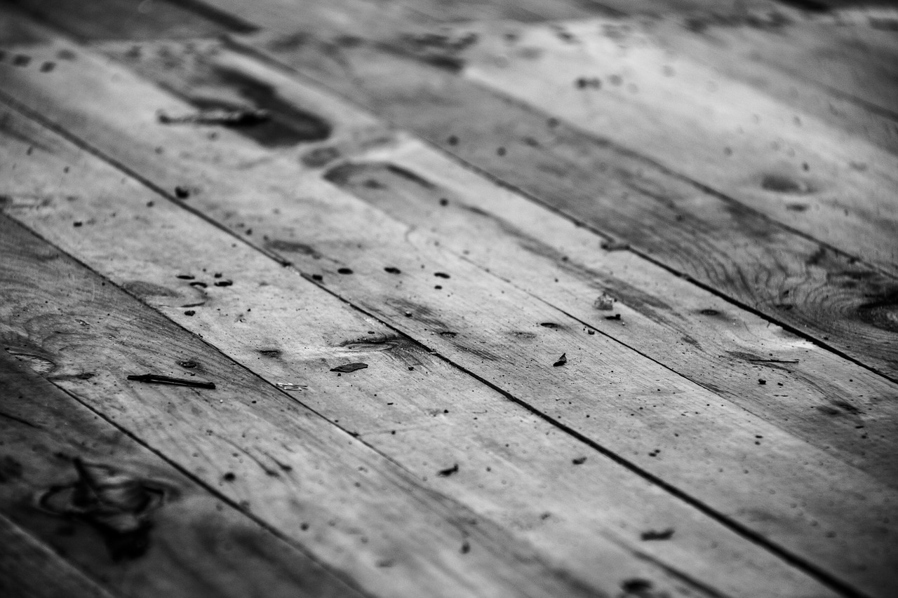 wood black and white texture free photo