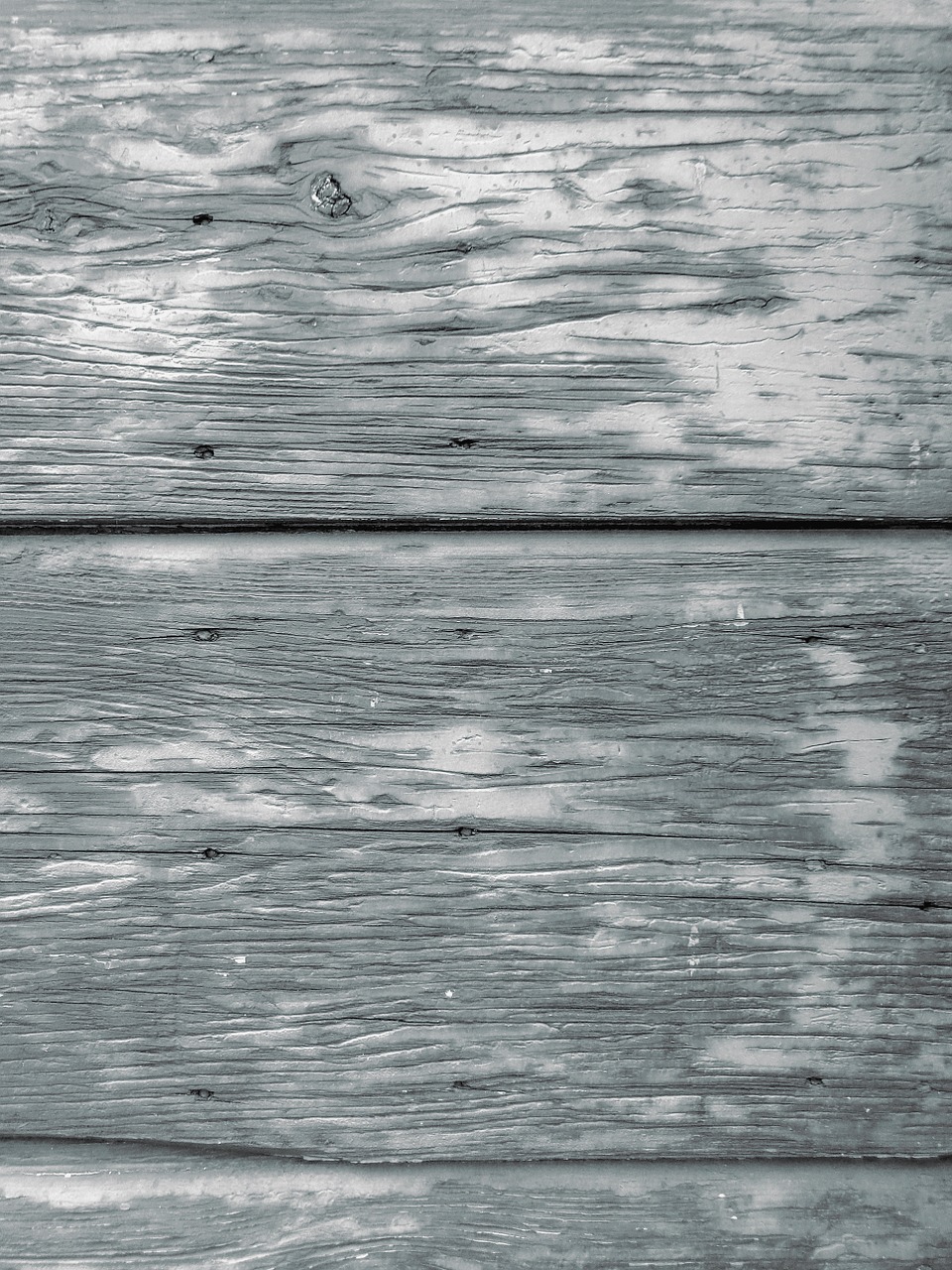 wood timber texture free photo