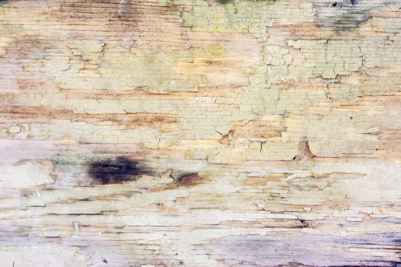 wood background vintage free photo