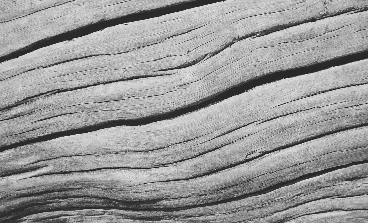 wood texture grain free photo