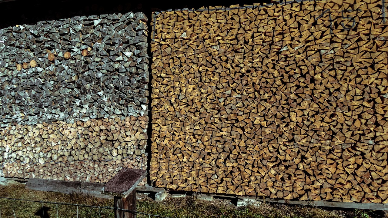 wood orderly lena free photo