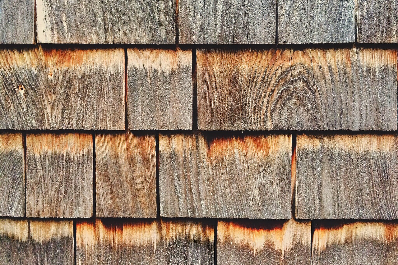 wood cedar siding free photo