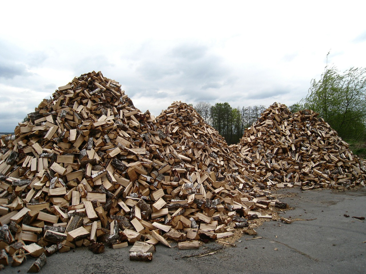 wood piles sky blue free photo