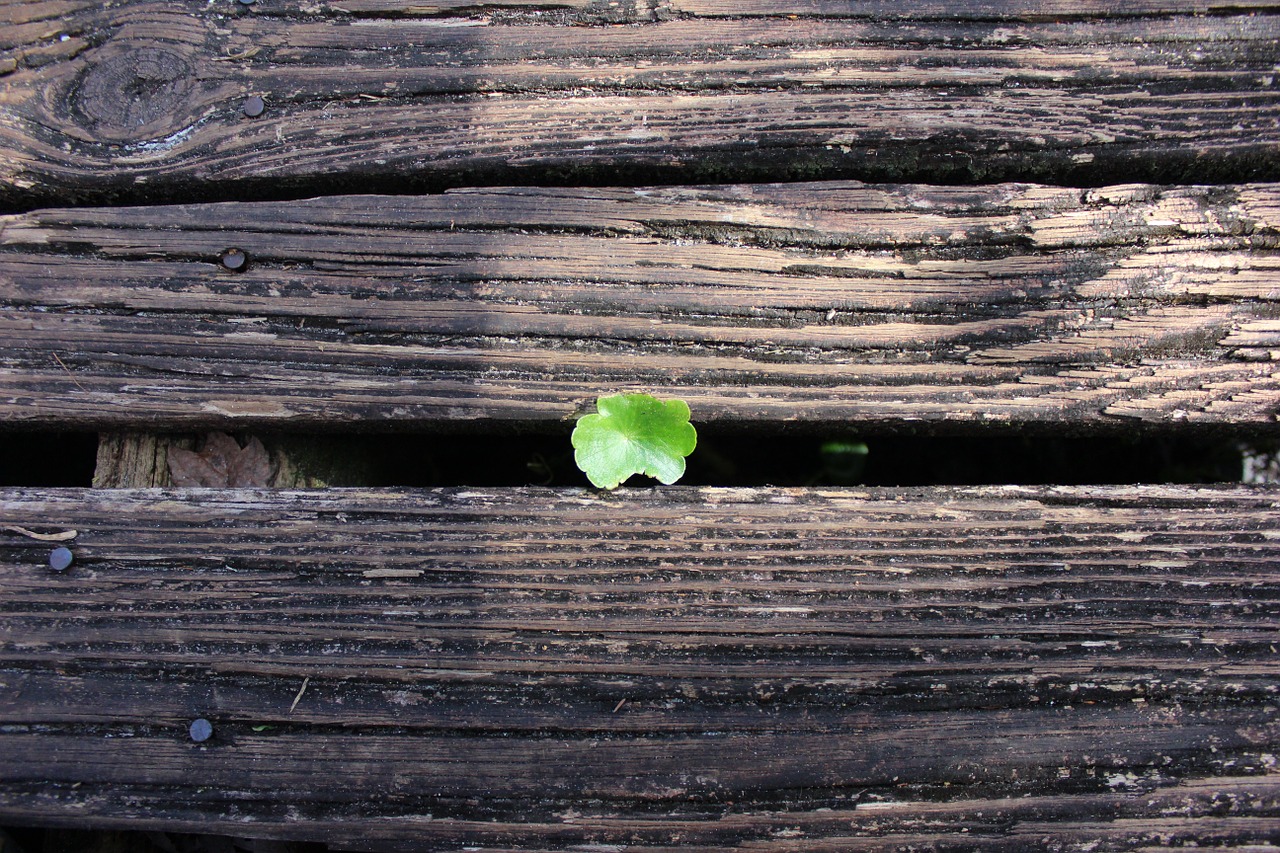 wood surface fence free photo