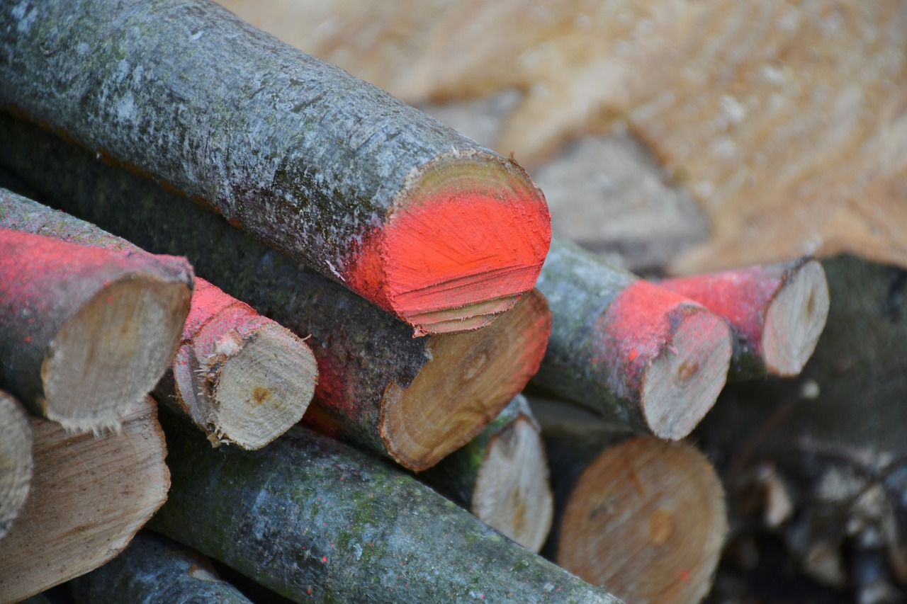 wood firewood holzstapel free photo