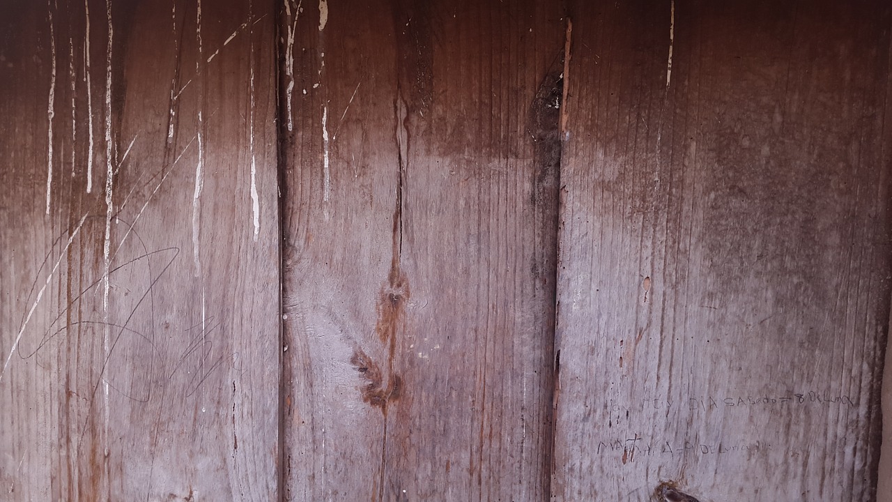 wood door pink free photo