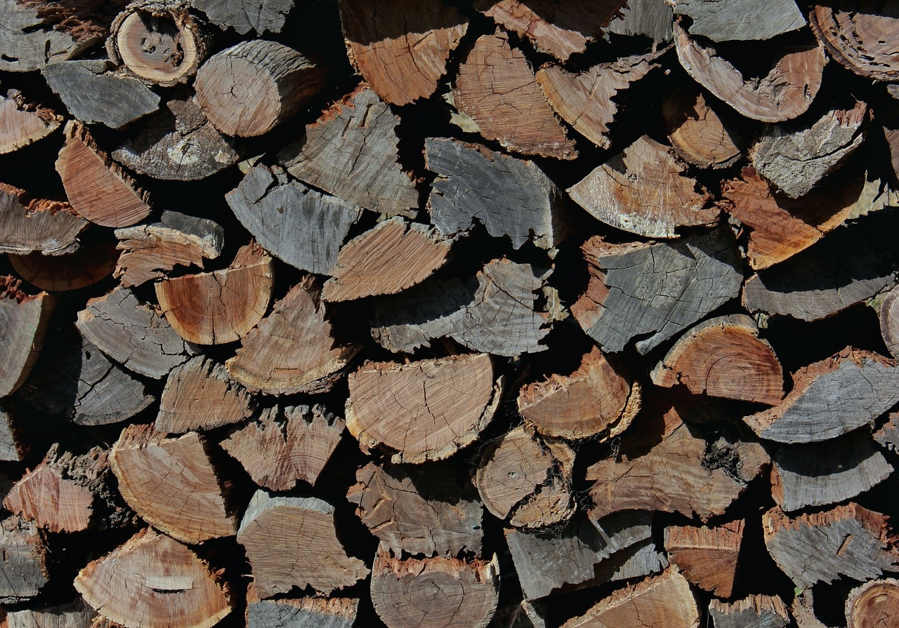 wood wood chopping wood stack free photo