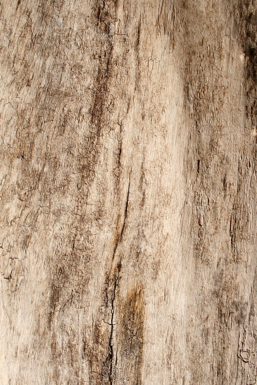 wood grain texture free photo