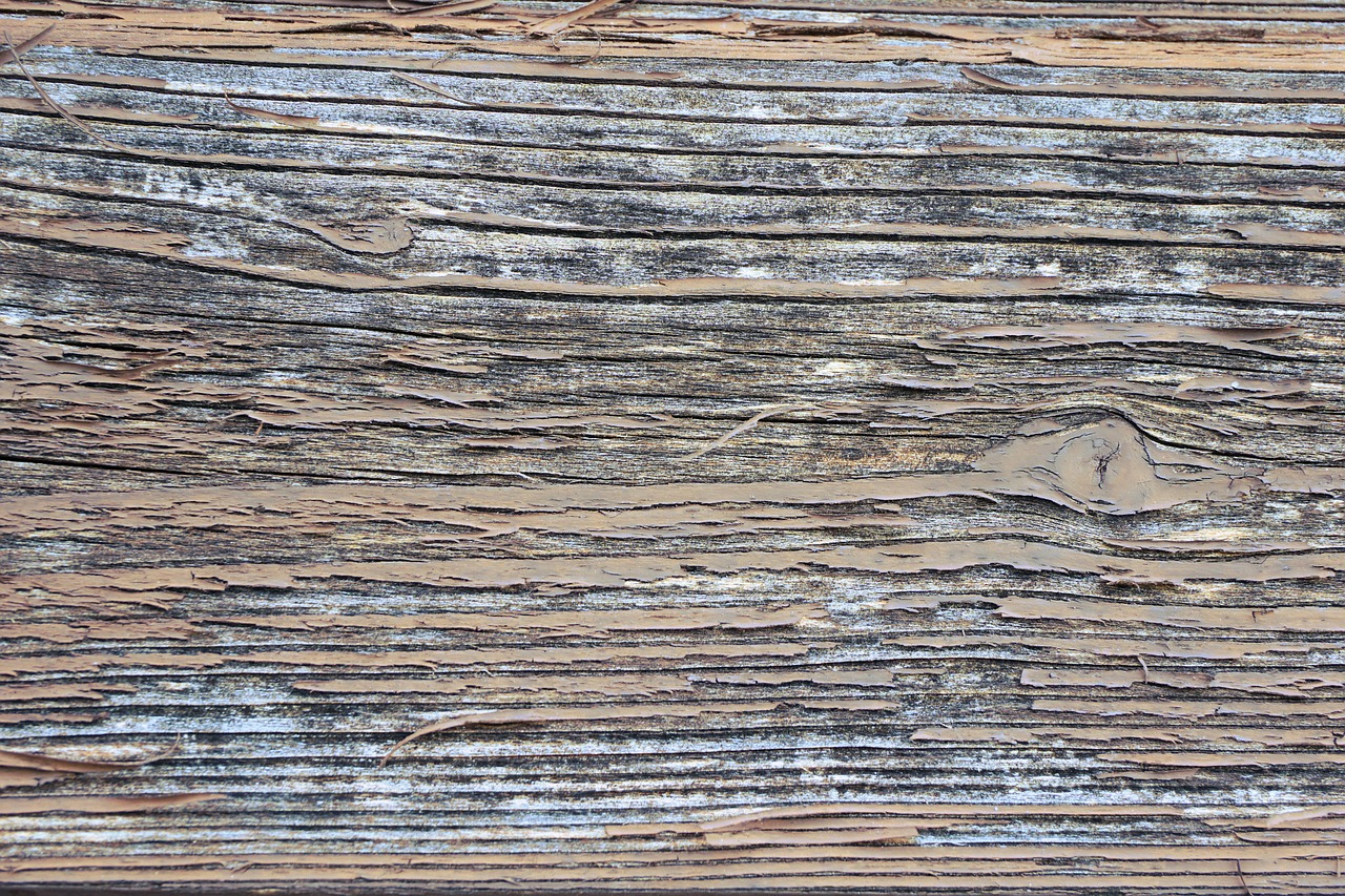 wood board texture free photo