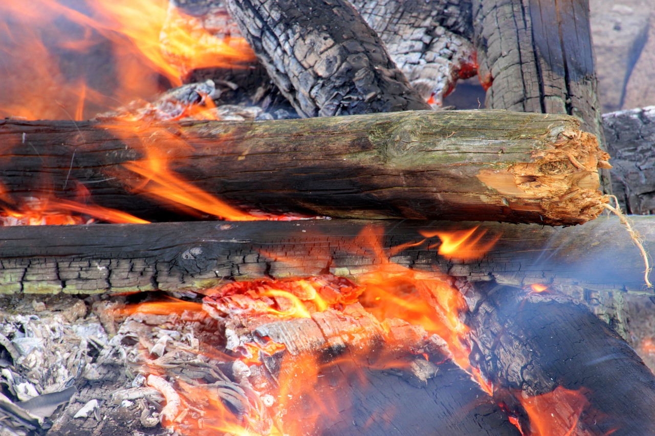 wood fire flame free photo