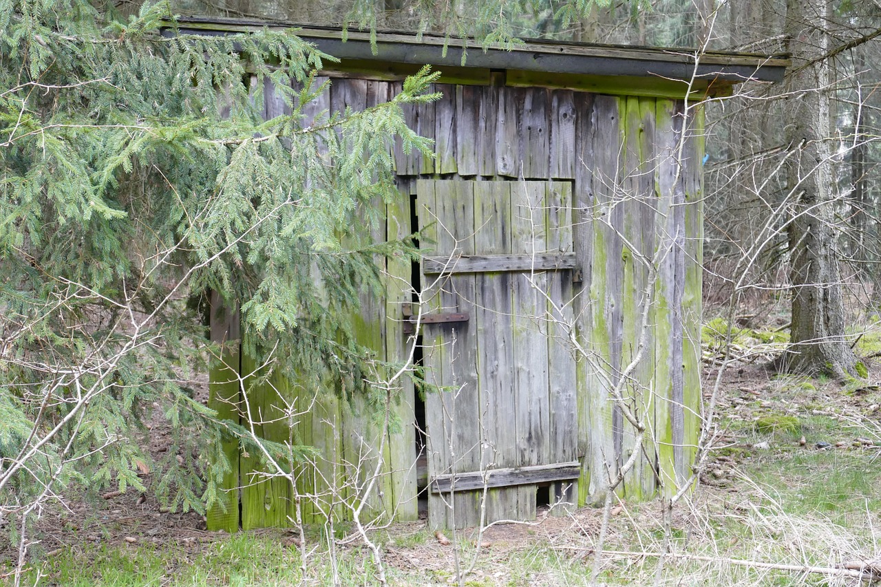 wood forest hut free photo