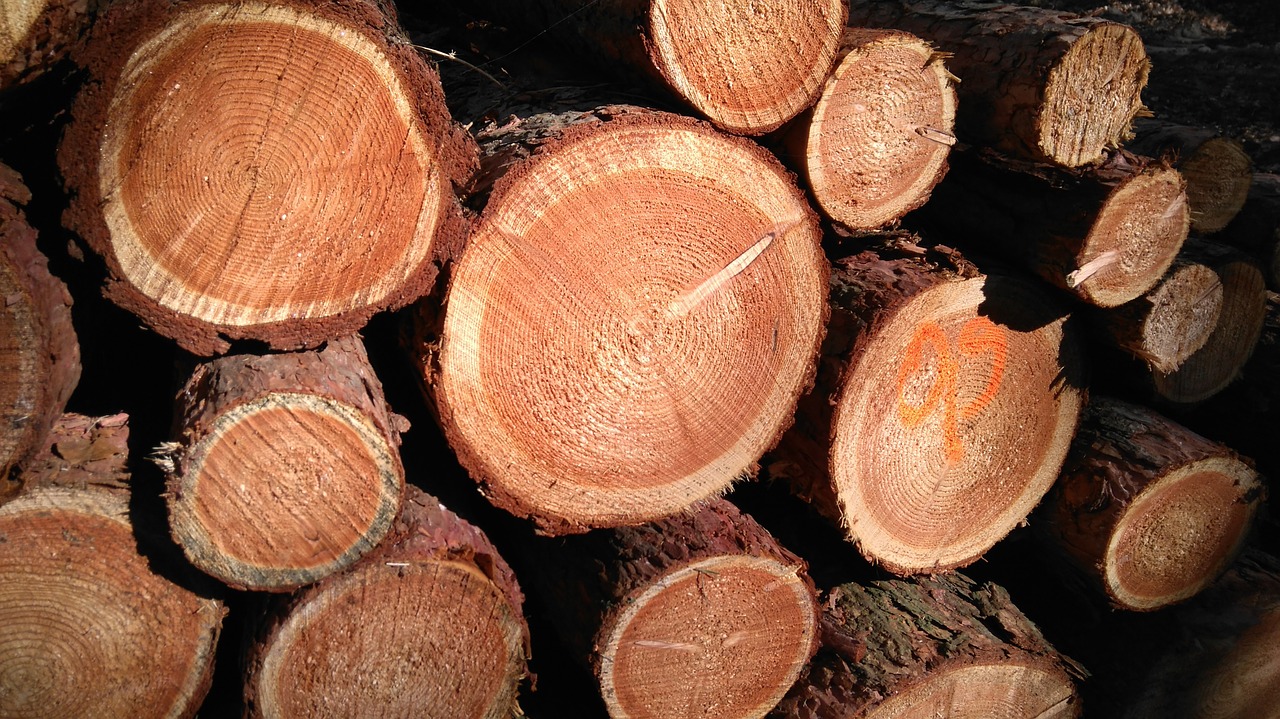 wood strains gesschnitten free photo