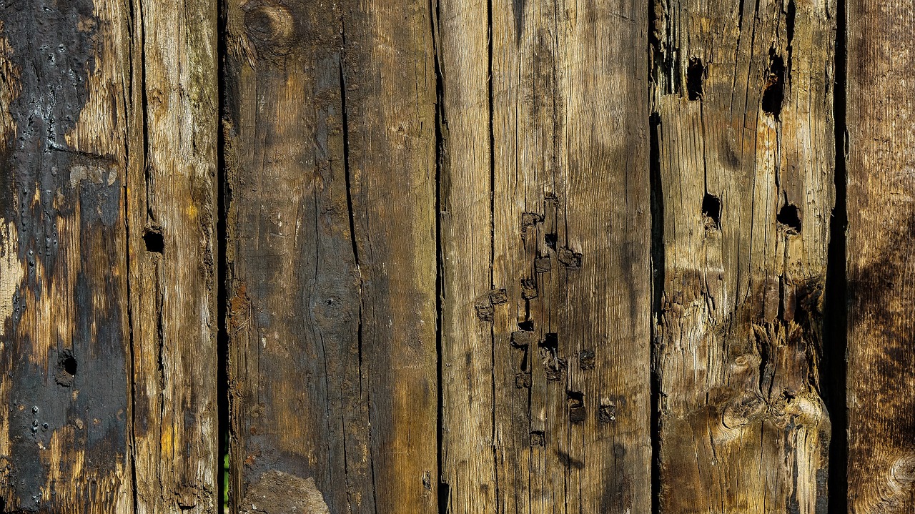 wood planks wallpaper free photo