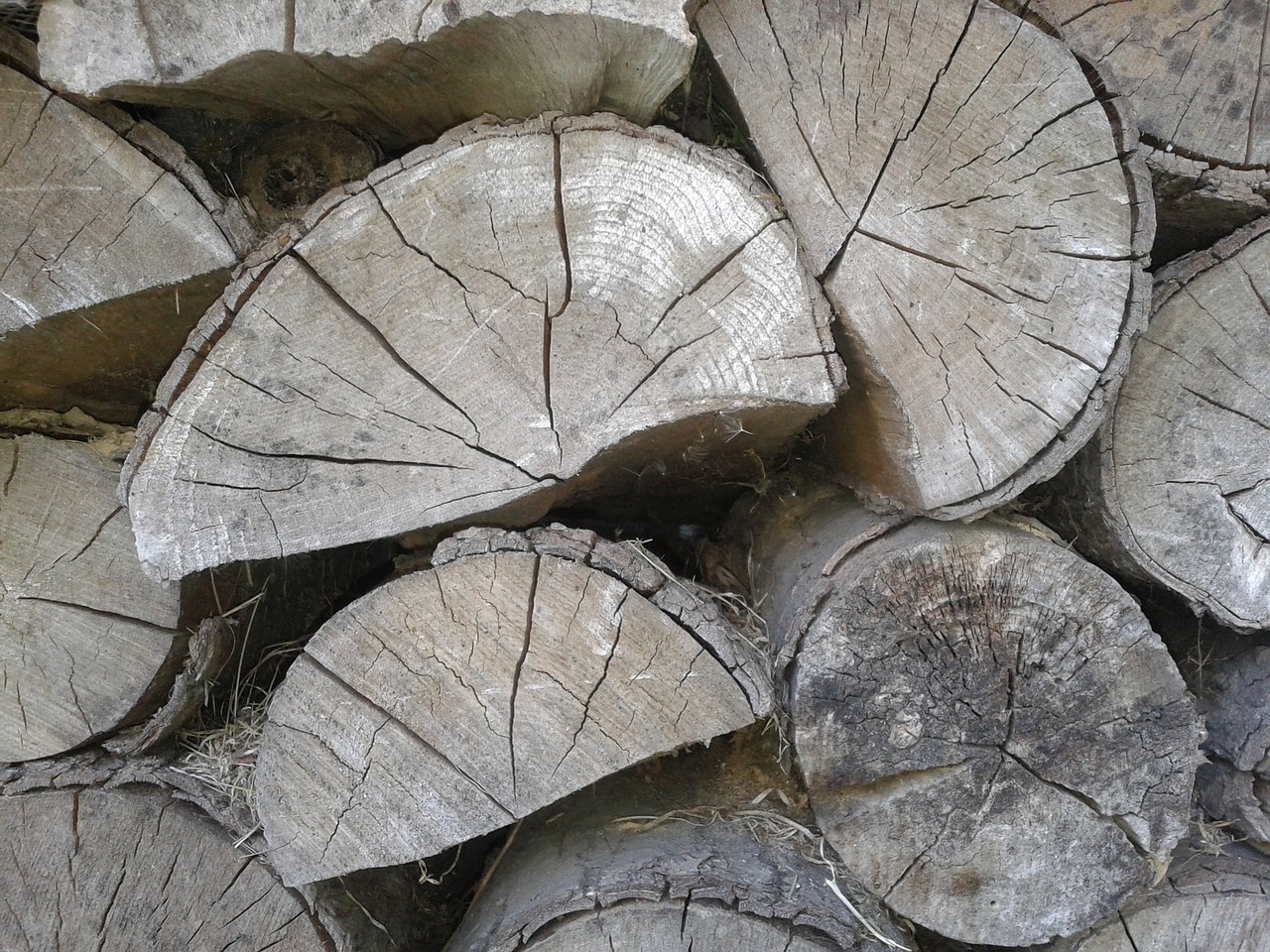 wood wooden logs logs free photo