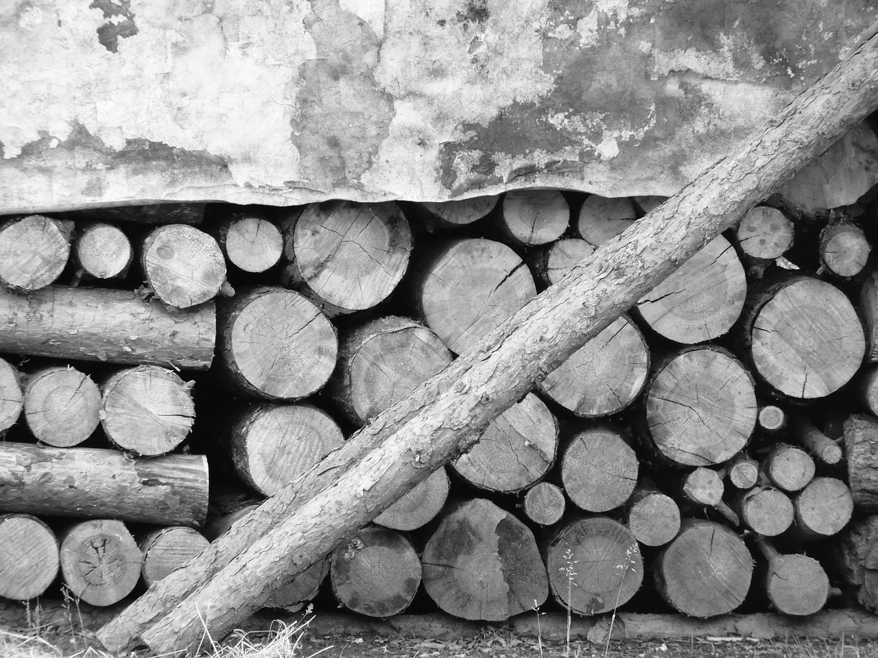 wood supply winter free photo