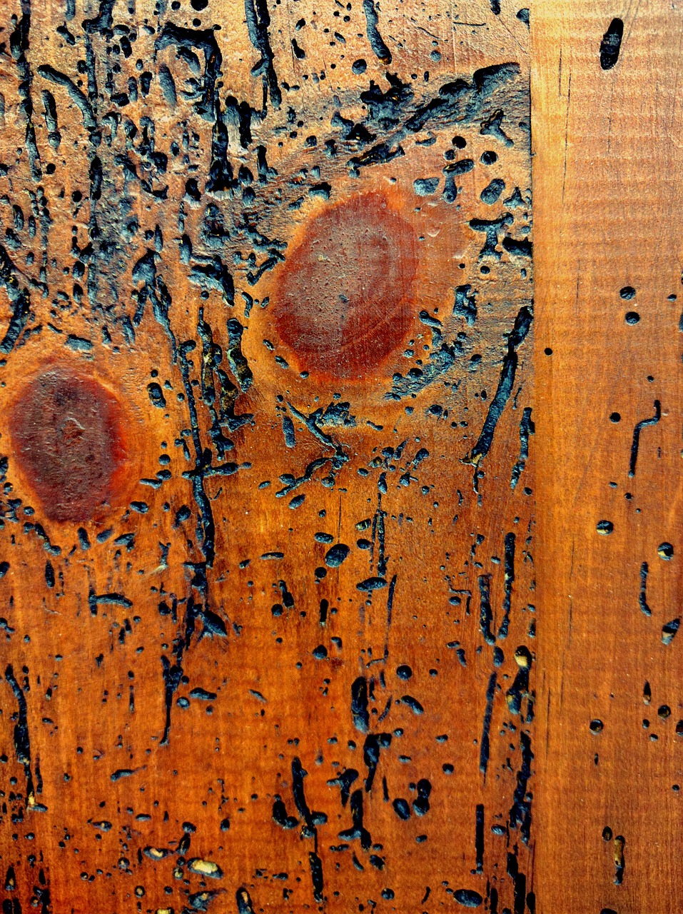 wood texture woodworms free photo