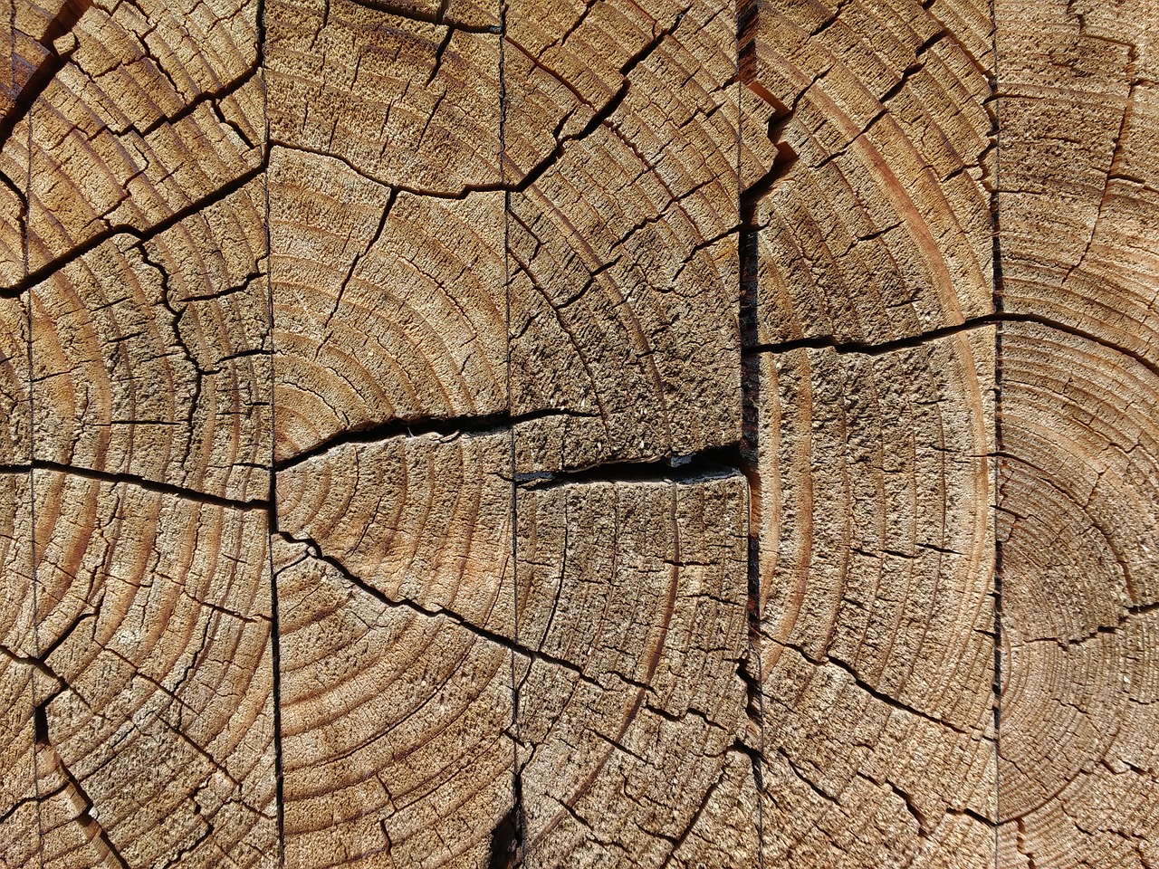 wood glued weathered free photo