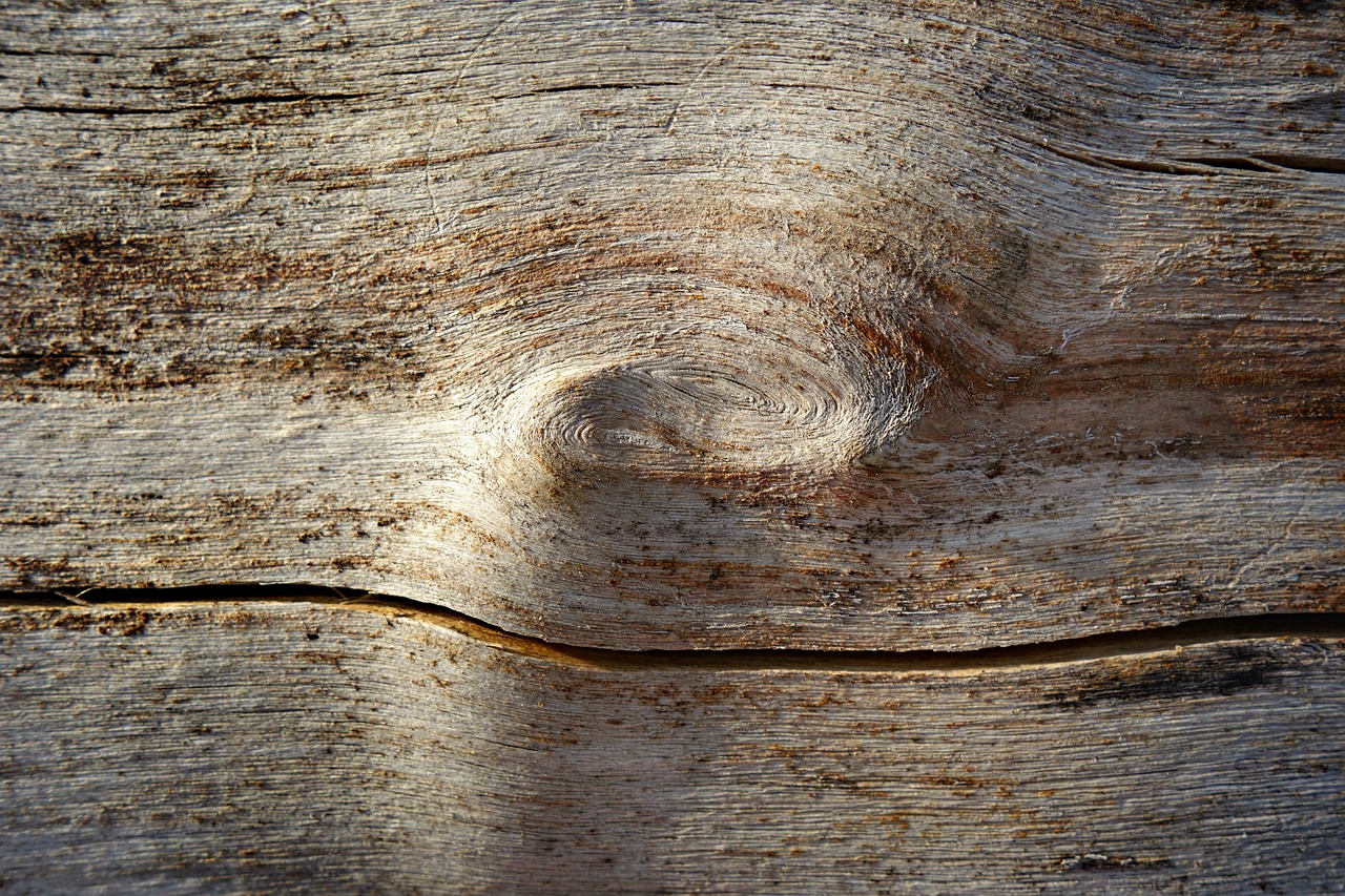 wood knot log free photo