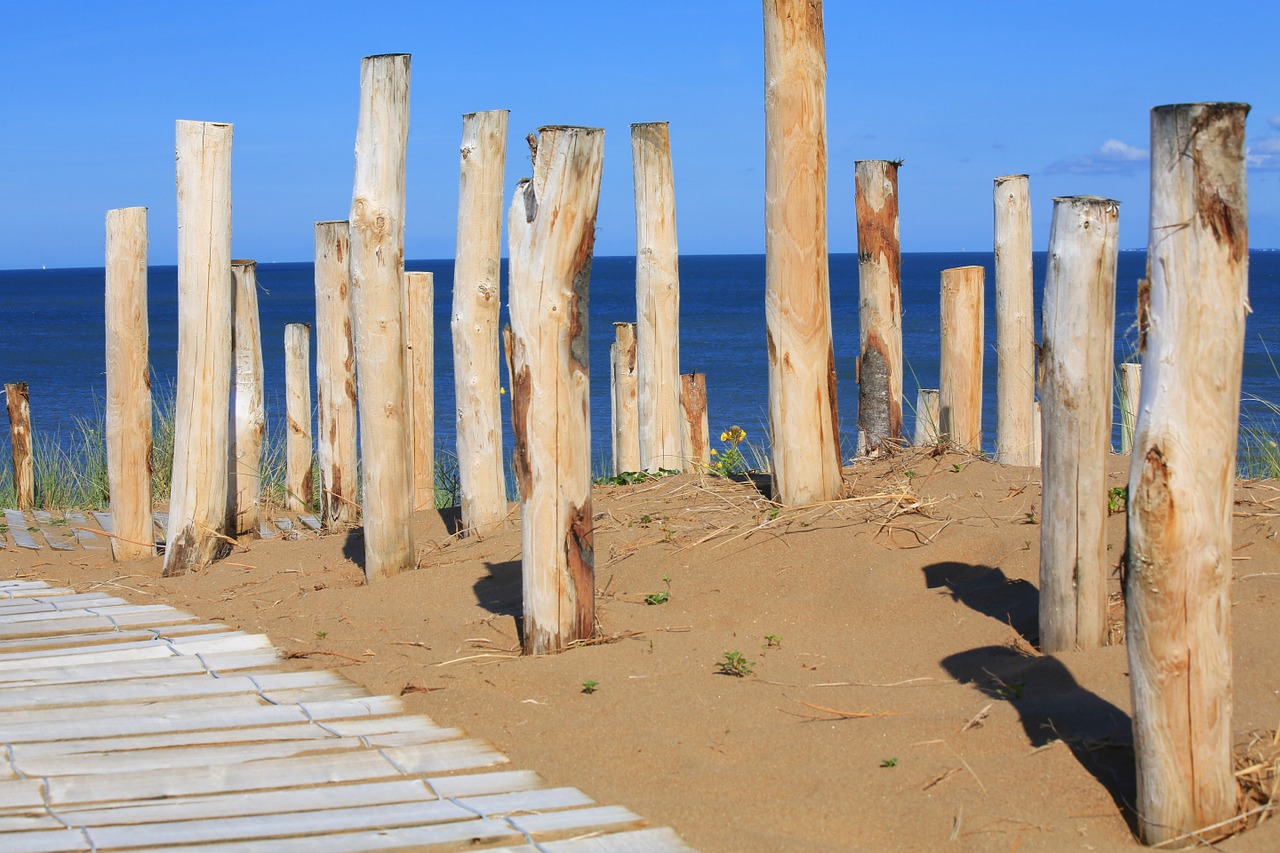 wood beach sea free photo