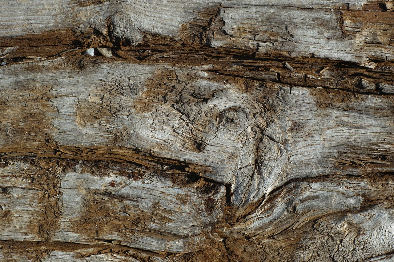 wood texture pattern free photo