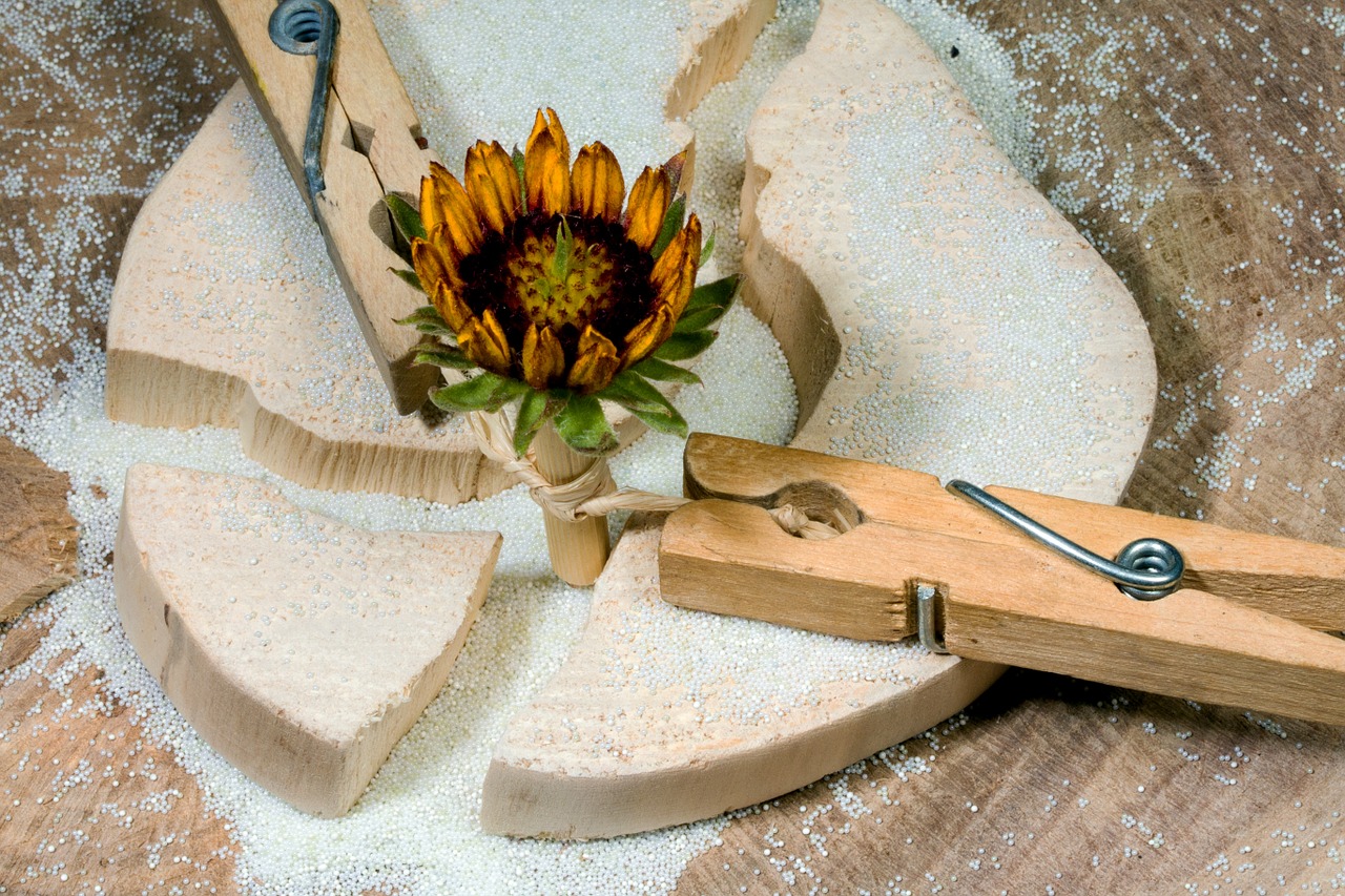 wood clothespins flower free photo