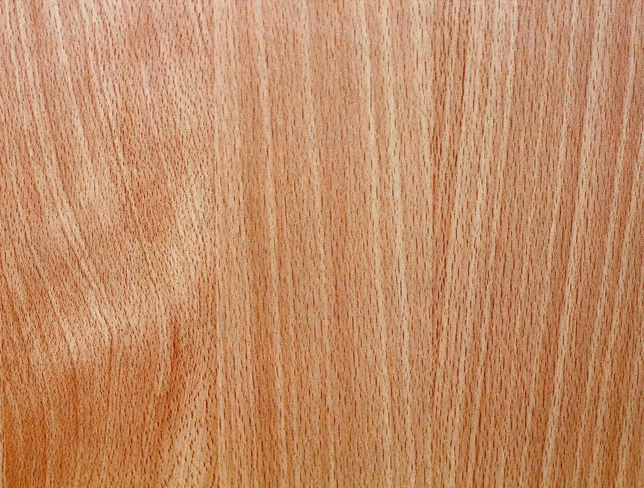 wood timber grain free photo