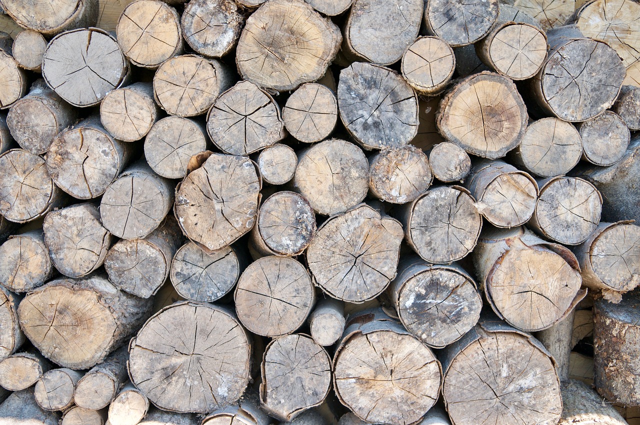 wood stack firewood free photo