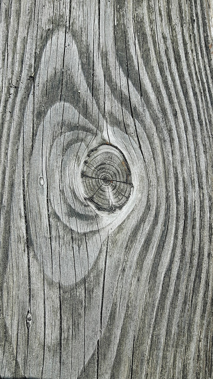 wood node texture free photo