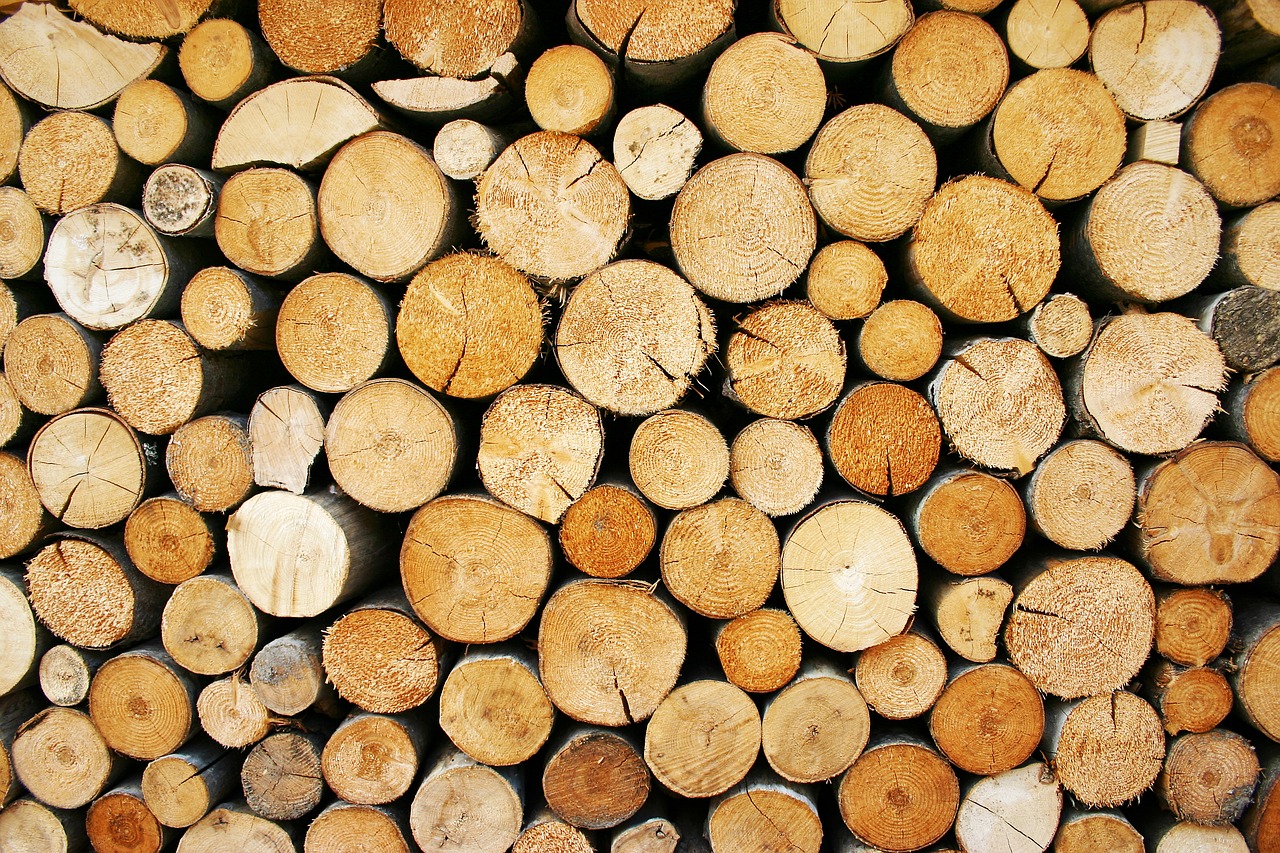 wood lumber logs free photo