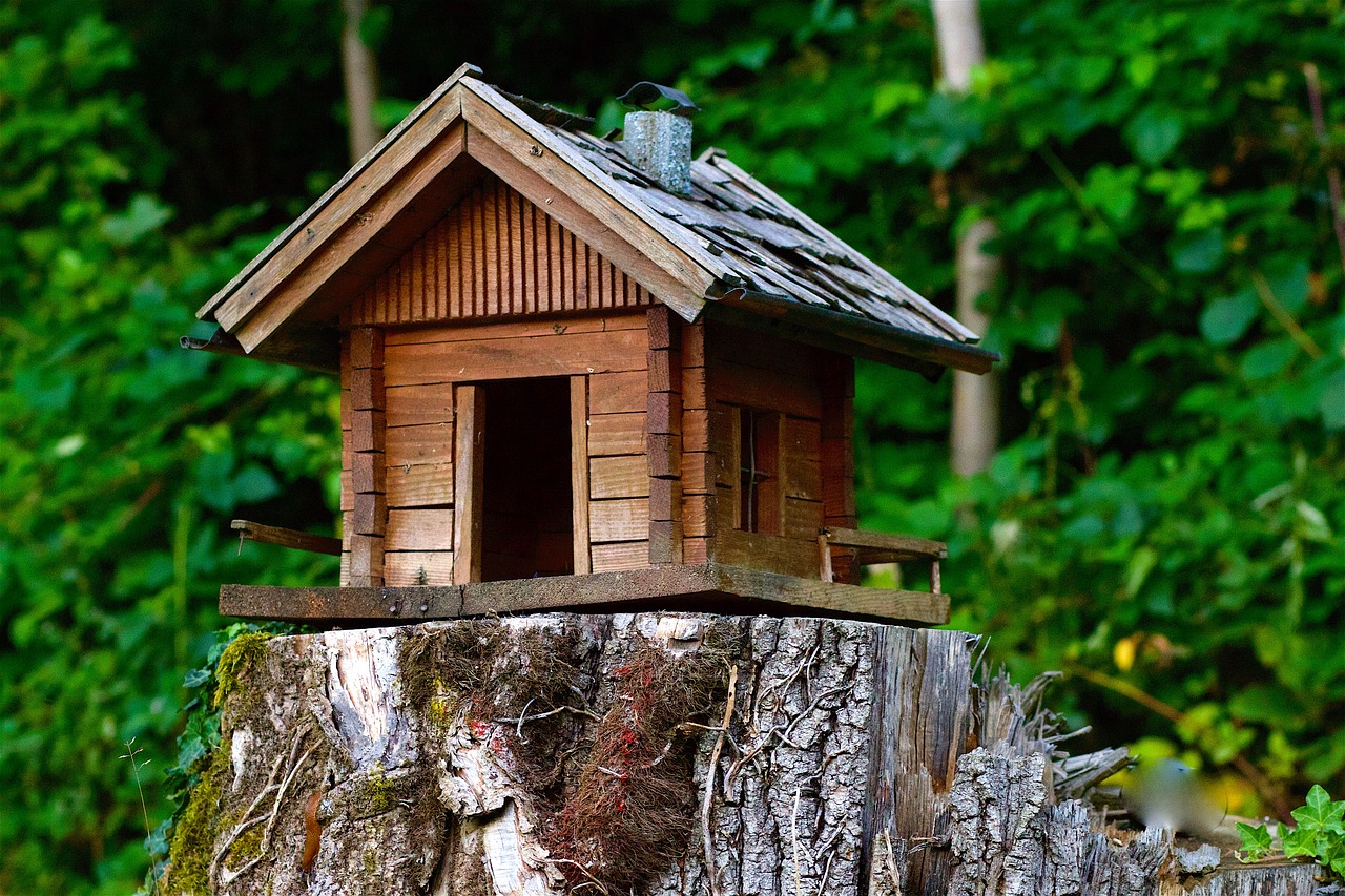 wood model cottage free photo
