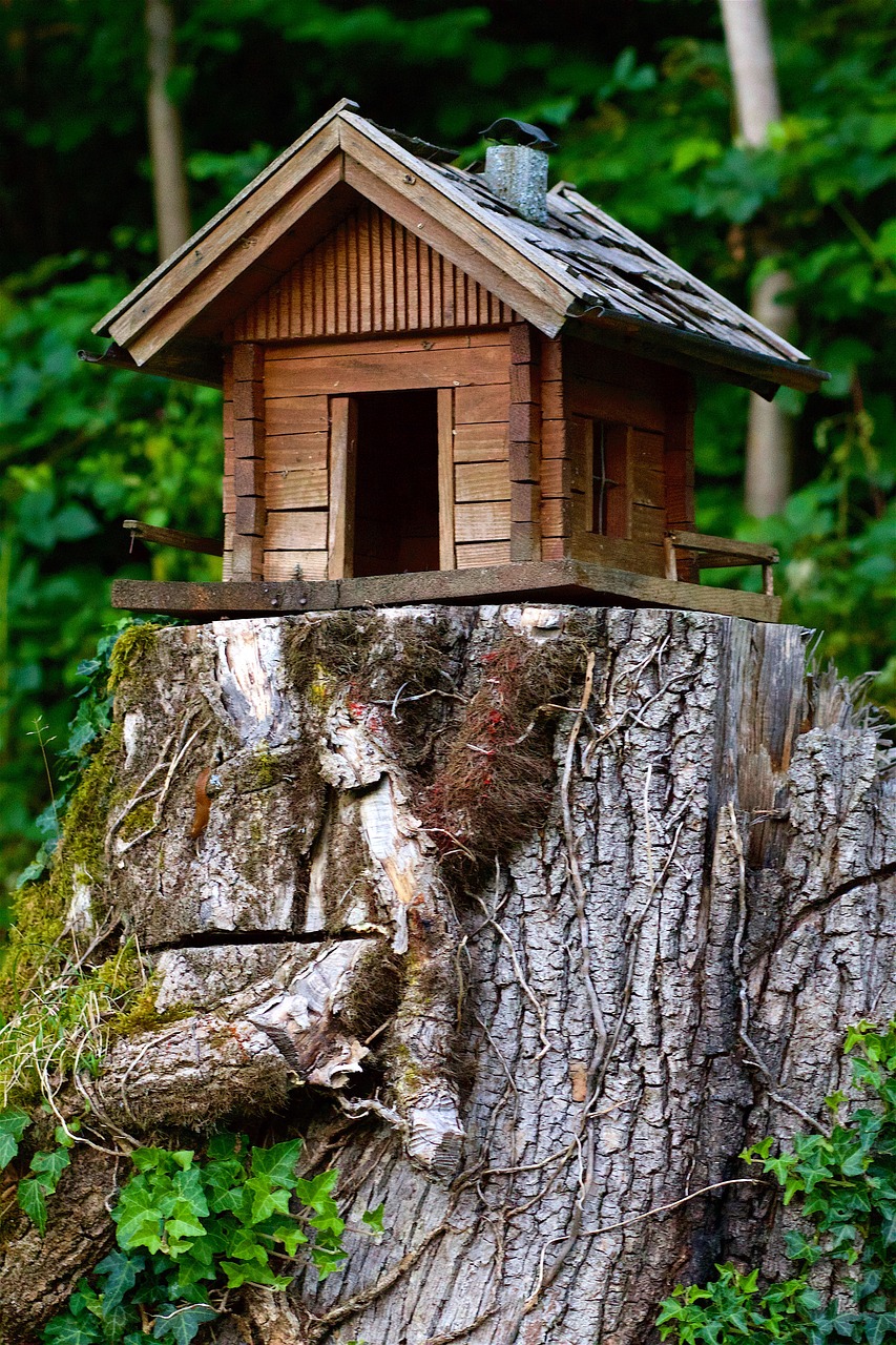 wood model cottage free photo