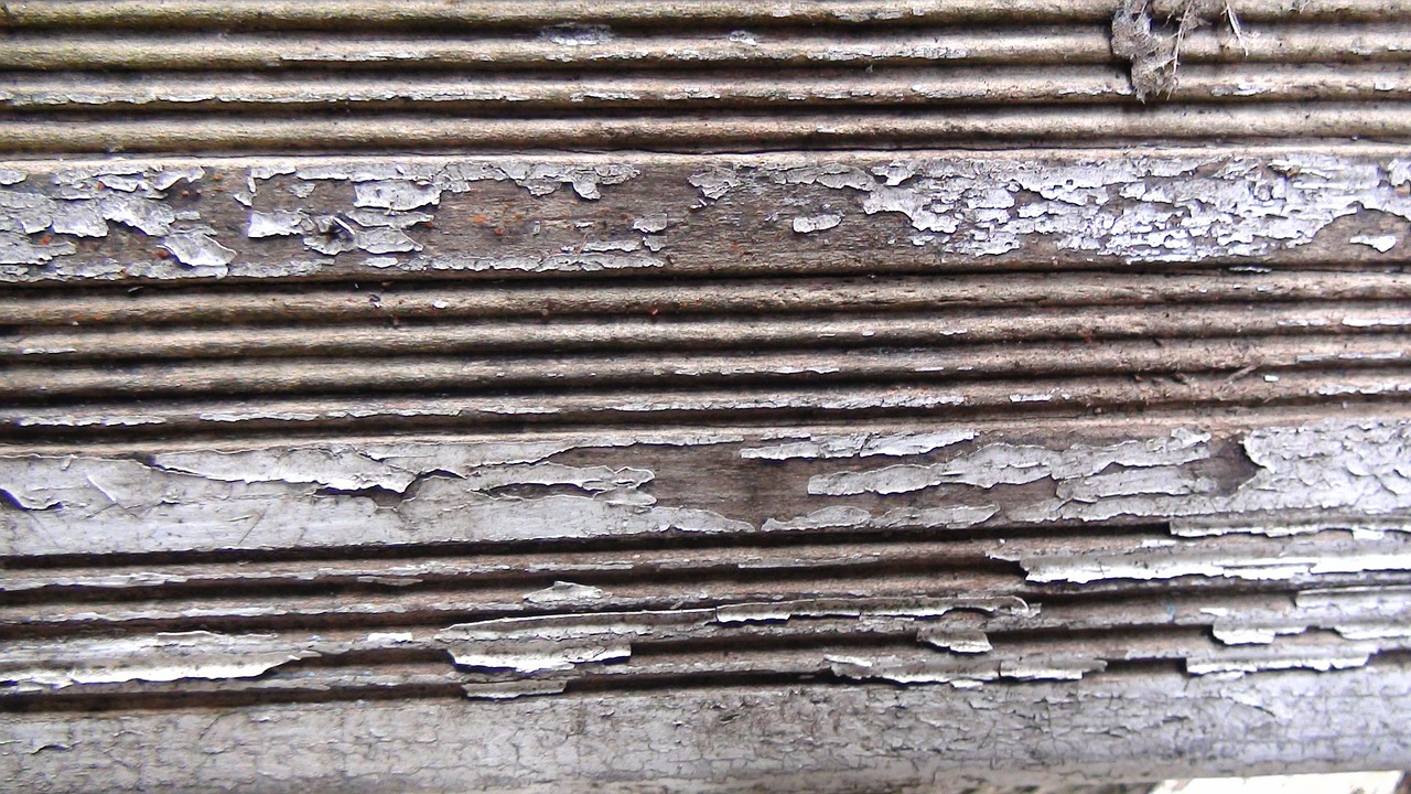 wood texture wood texture free photo