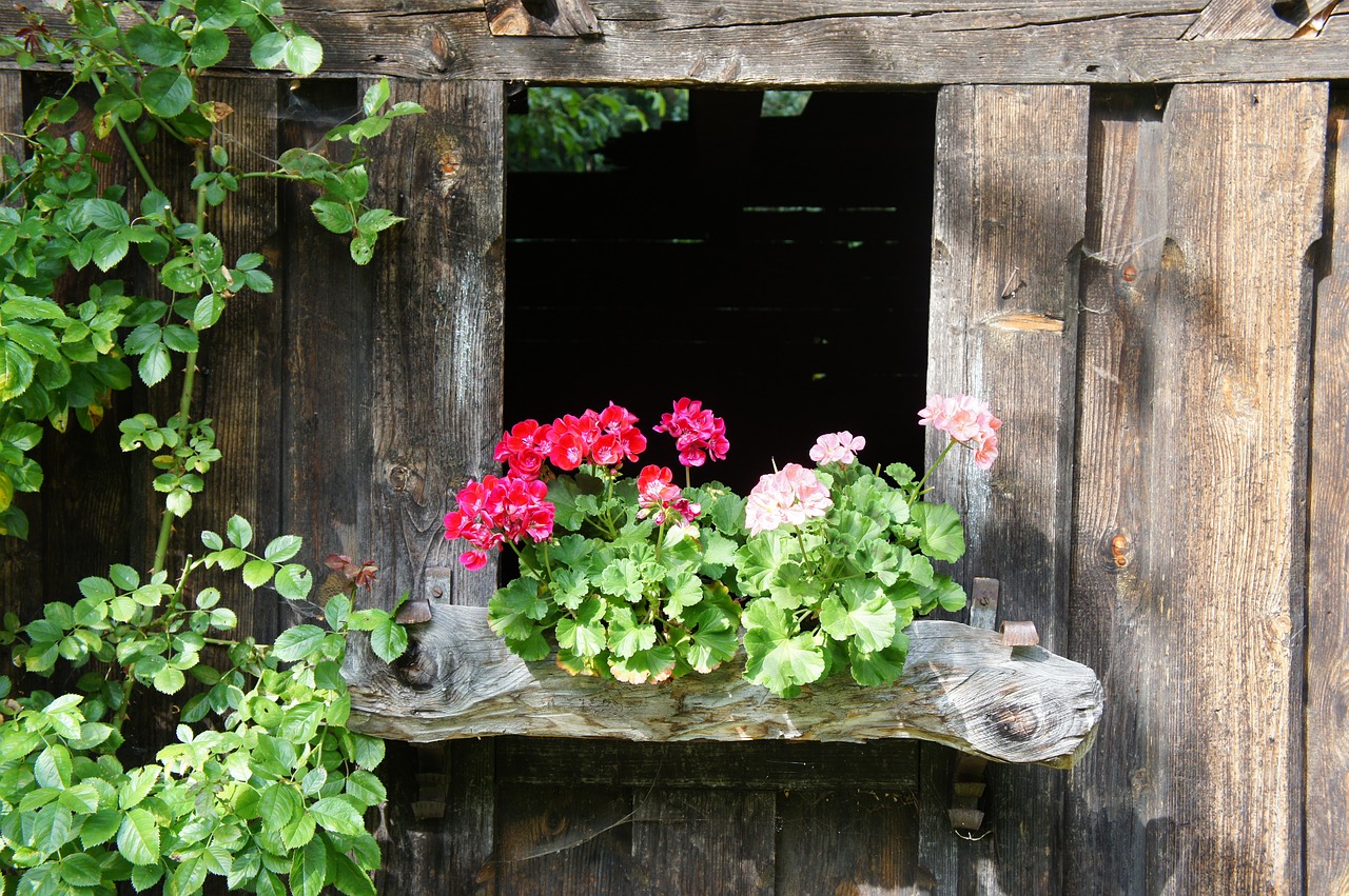 wood hut flowers free photo